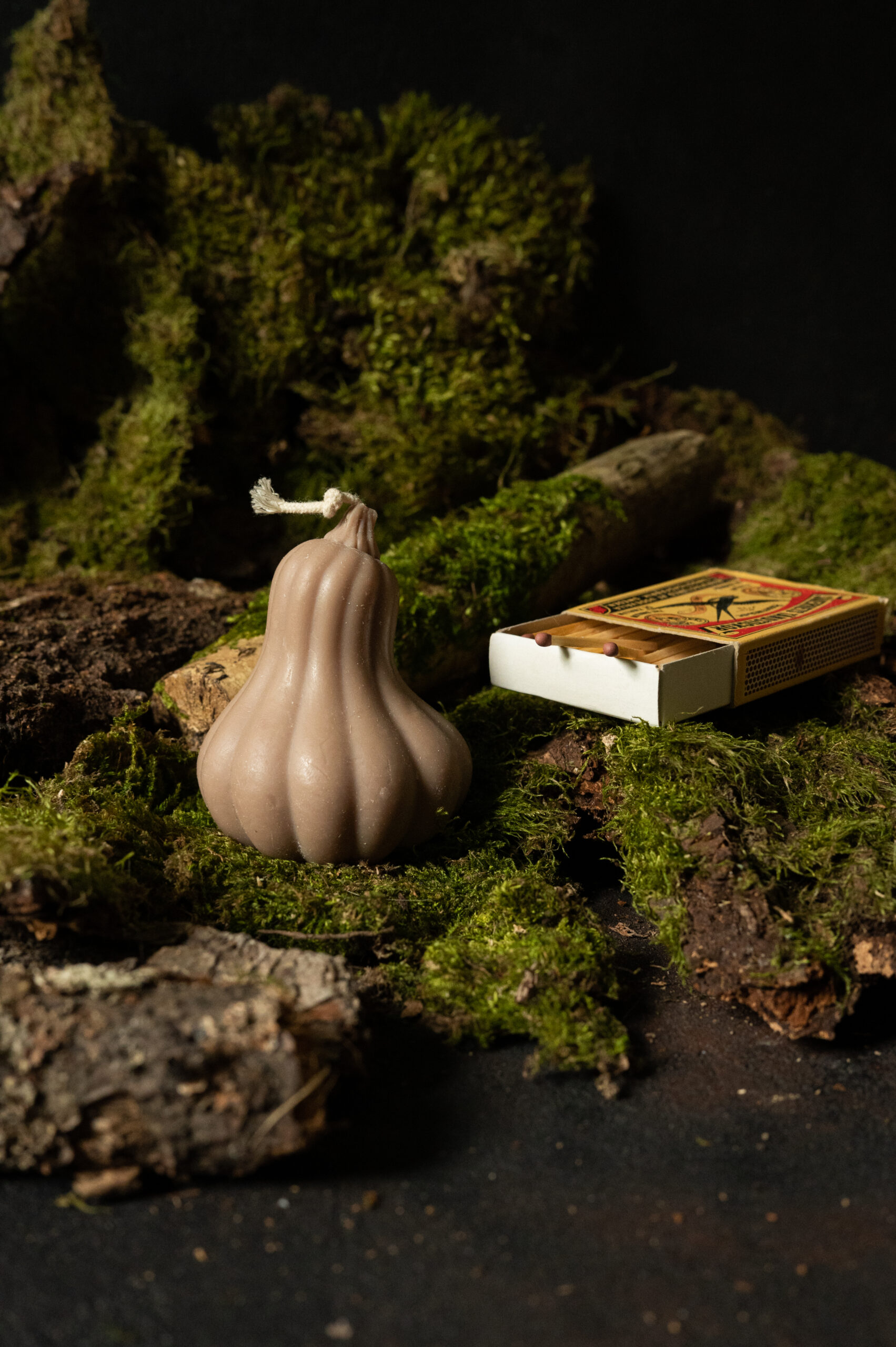 Гарбуз - Зображення 2