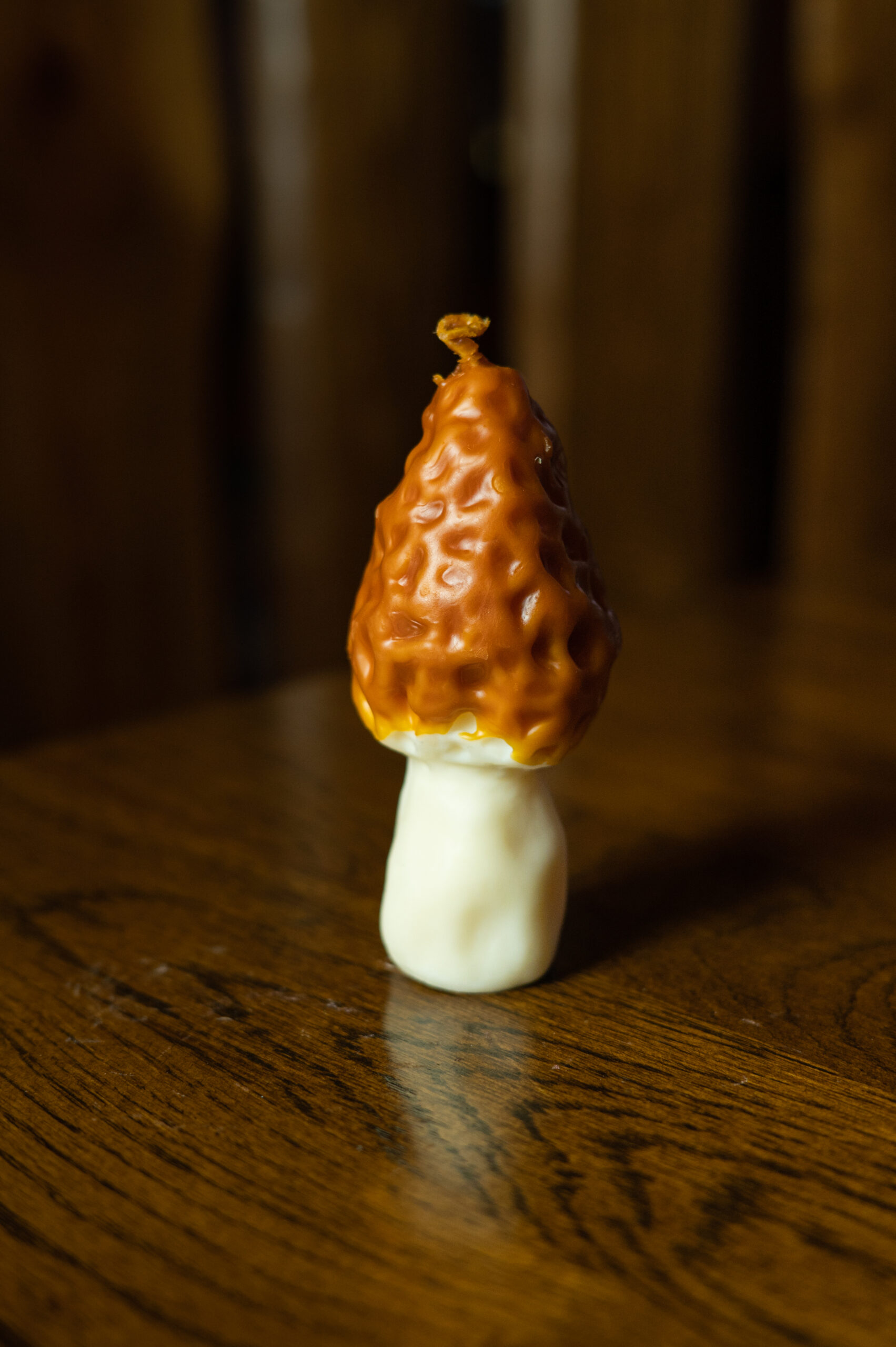 Гриб Зморшок