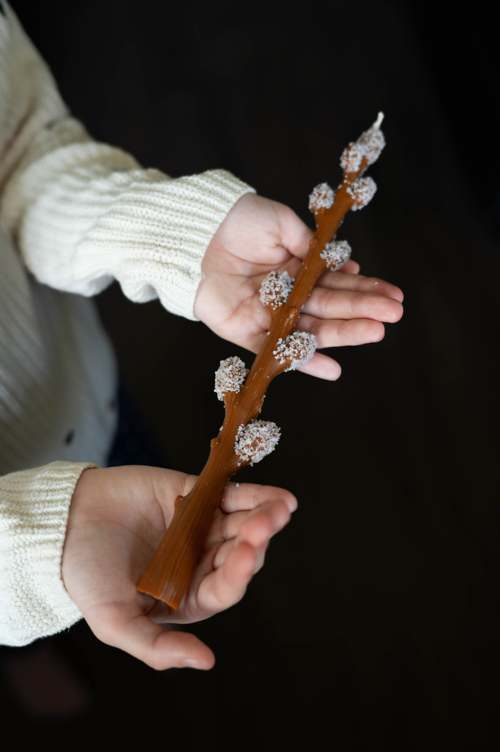 Верба - Зображення 4